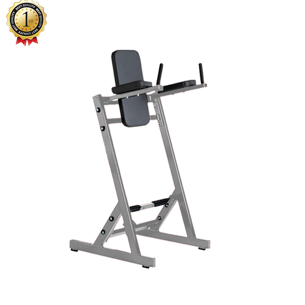 FW2025 Leg Raise Buy leg exercise machines, gym machines for legs