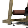 LD-2008 Glute Machine