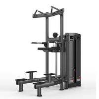 M7Pro-1010 Chin/Dip Assist