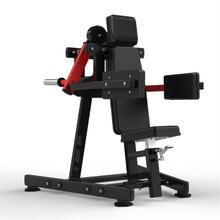 RS-1016 Lateral Raise