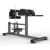 FW-2029 Glute Ham Raise