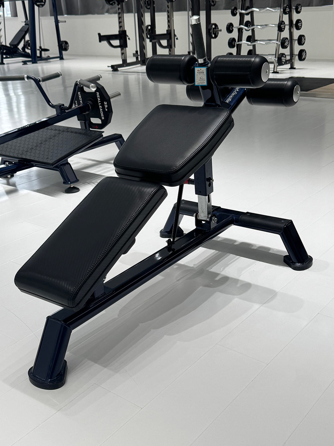 FW-2013 Adjustable Abdominal Bench