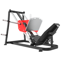 RS-1029 Linear Leg Press