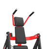 RS-1037 Abdominal Crunch