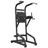 RS-1042 Chin Up&Dip