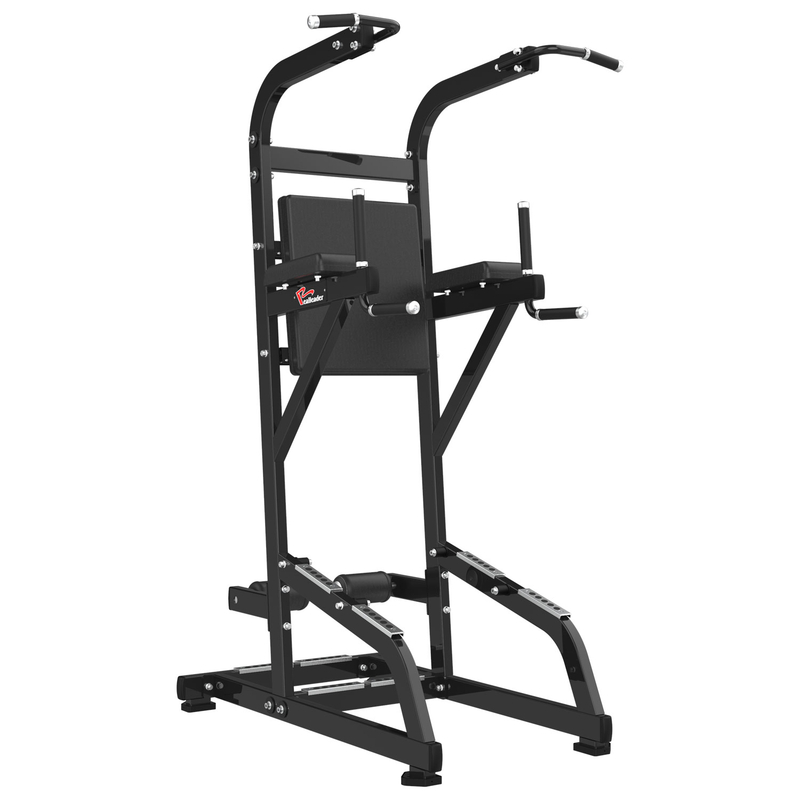 RS-1042 Chin Up&Dip