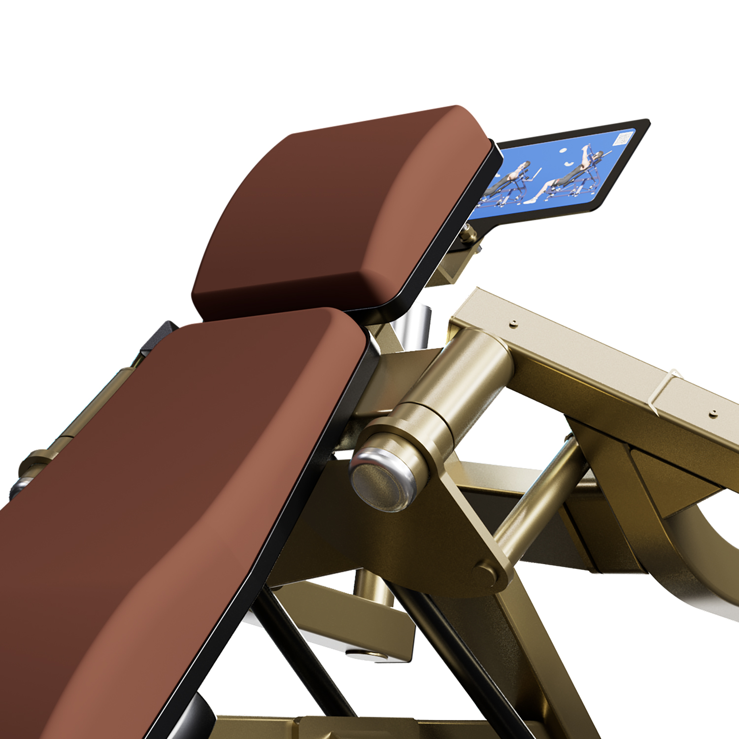 LD-1013 Pectoral Machine