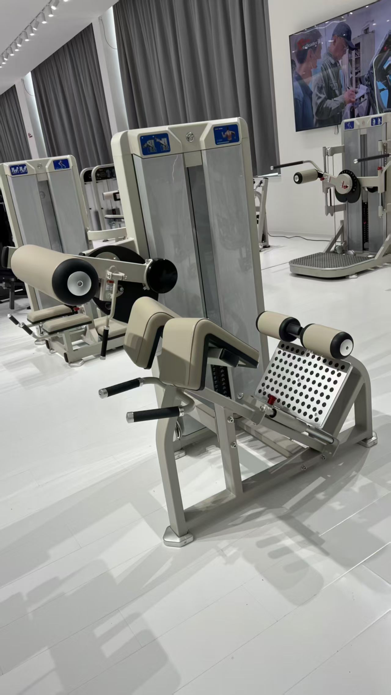 GL-1003 Back Extension