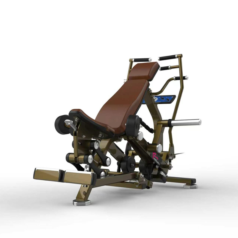 LD-1019 Overhead Triceps Machine