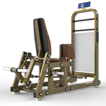 LD-2010 Hip Adductor