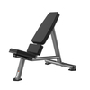 FW-1010 55-Degree Bench