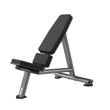 FW-1010 55-Degree Bench