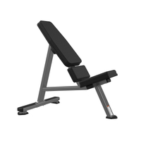 FW-2010 55-Degree Bench