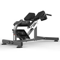 FW-2006 Hyperextension