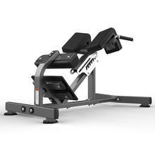 FW-2006 Hyperextension