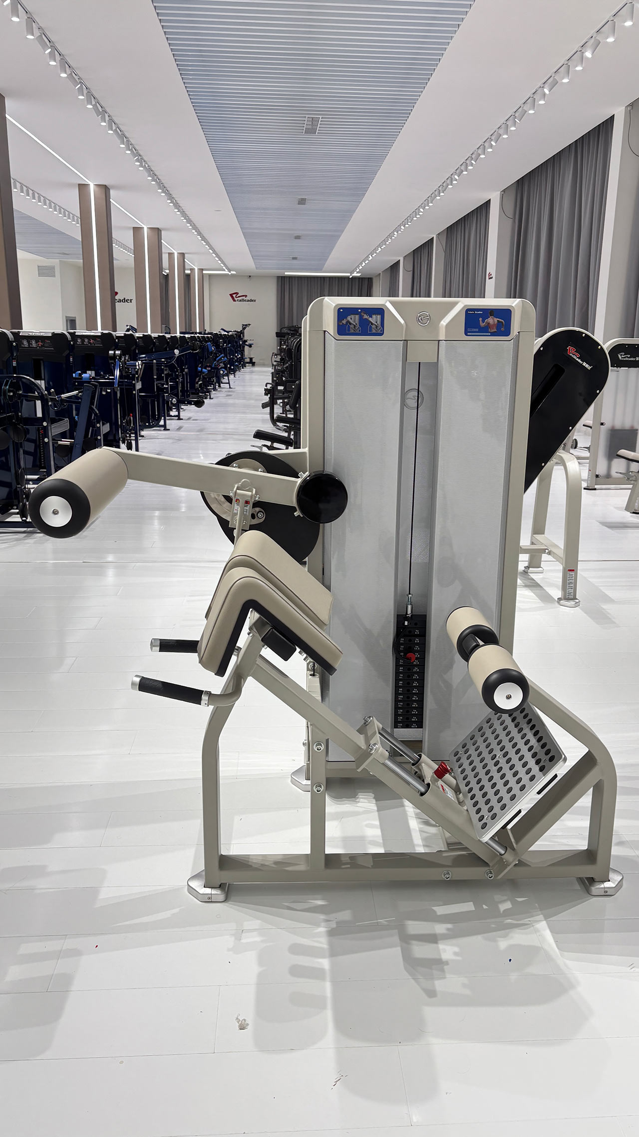 GL-1003 Back Extension