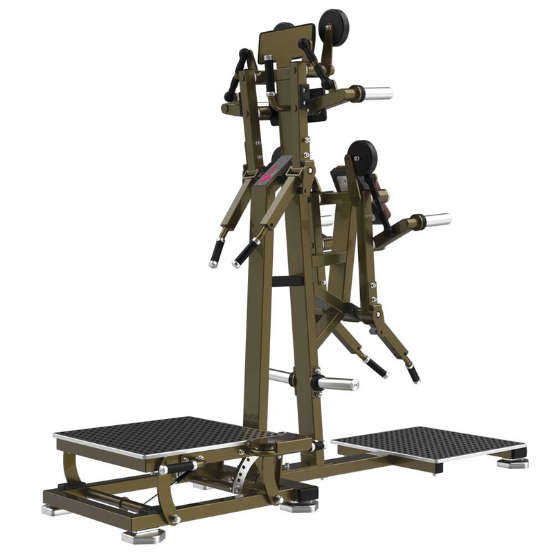 LD-1004 Lateral Raise/rear Deltoid