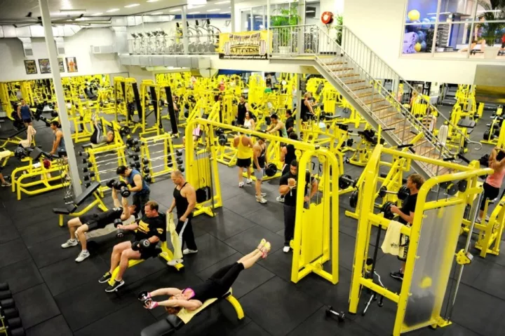 If You Want To Become A Good Bodybuilder, What Is The Standard Score Of The 5 Classic Compound Movements?