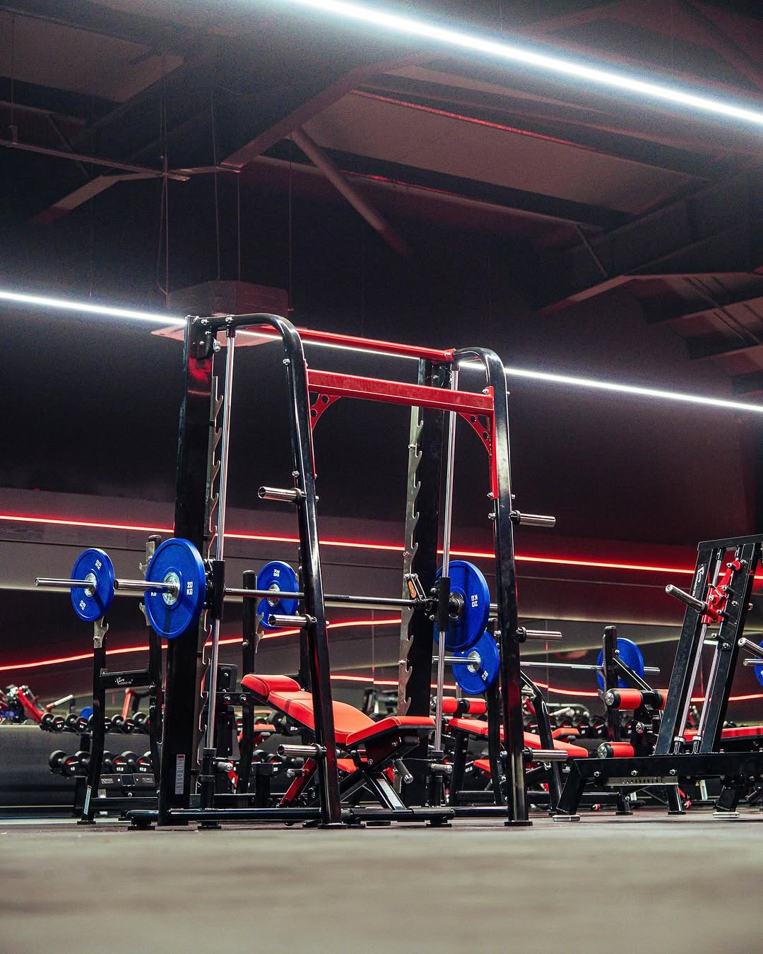 Achieve Your Fitness Goals With Low Price And High Quality Power Machines