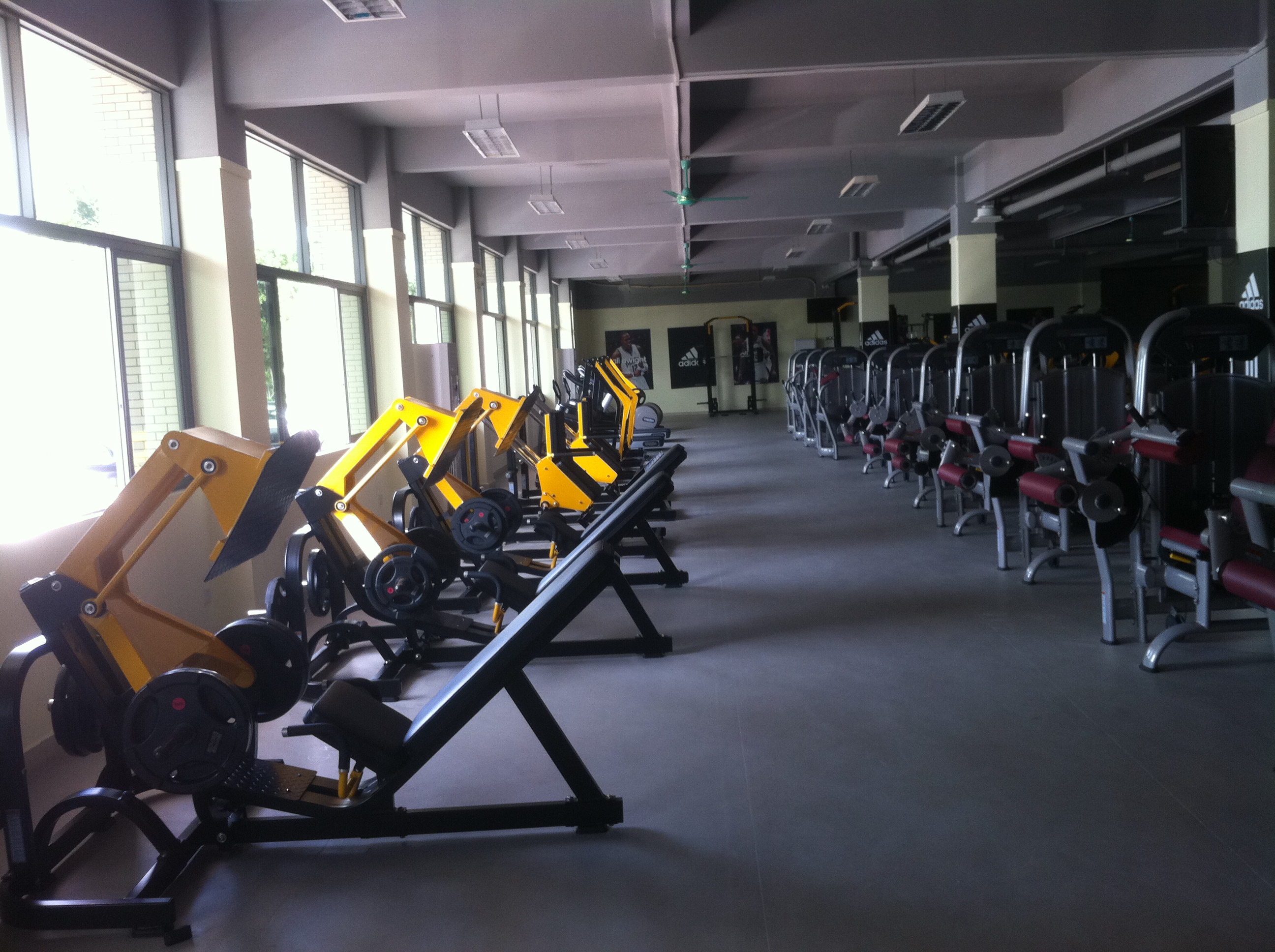 DONGGUAN BASKETBALL SCHOOL