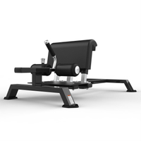 RS-1010 Sissy Squat