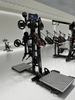 LD-1004 Lateral Raise/rear Deltoid