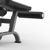 M3-1006 Prone Leg Curl
