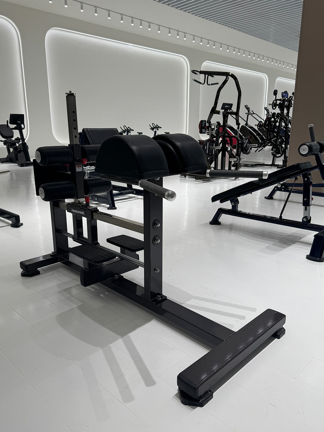 FW-2029 Glute Ham Raise