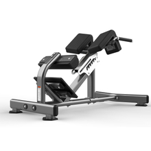FW-1006 Hyperextension