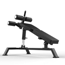 FW-2013 Adjustable Abdominal Bench