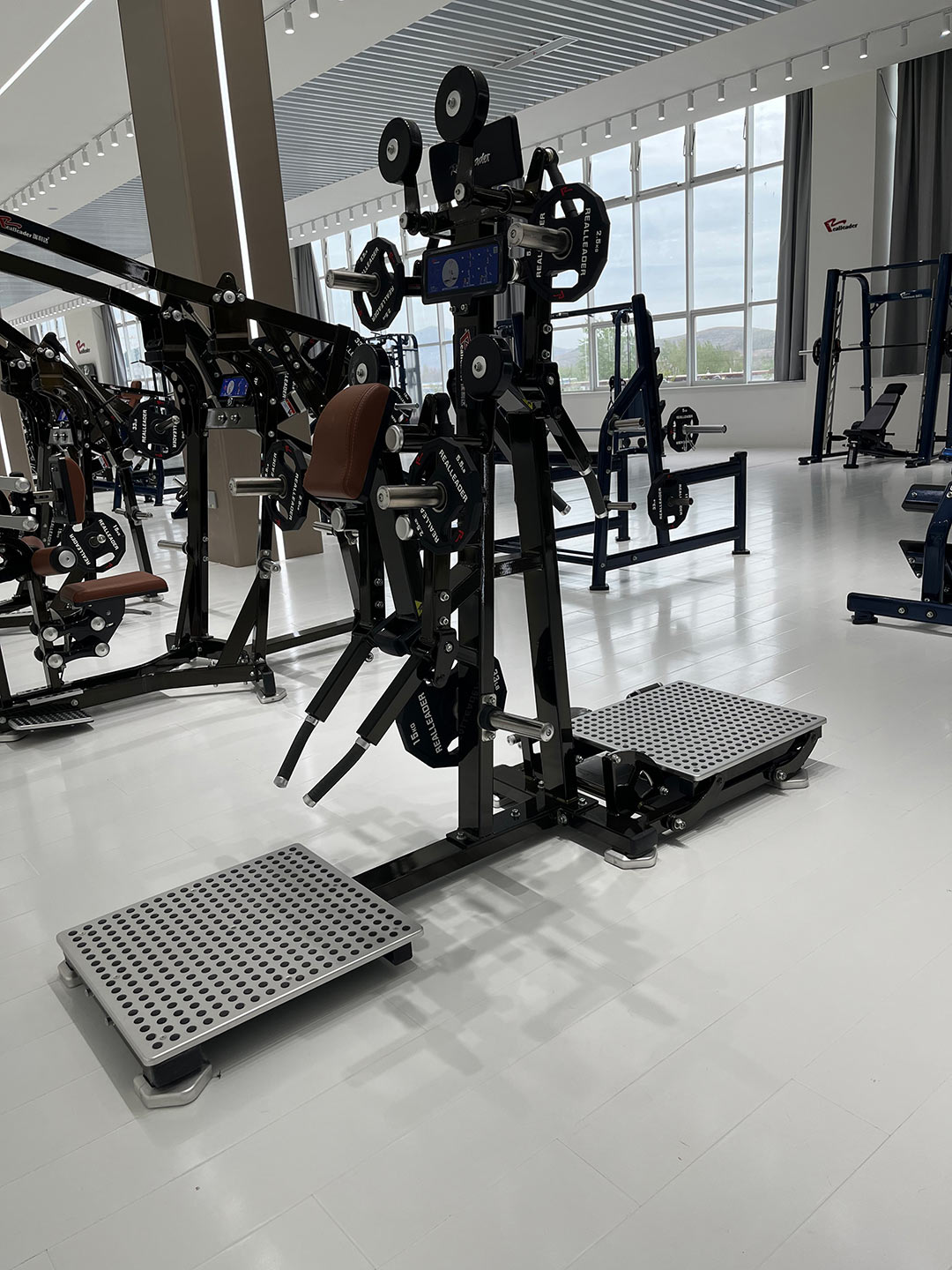 LD-1004 Lateral Raise/rear Deltoid